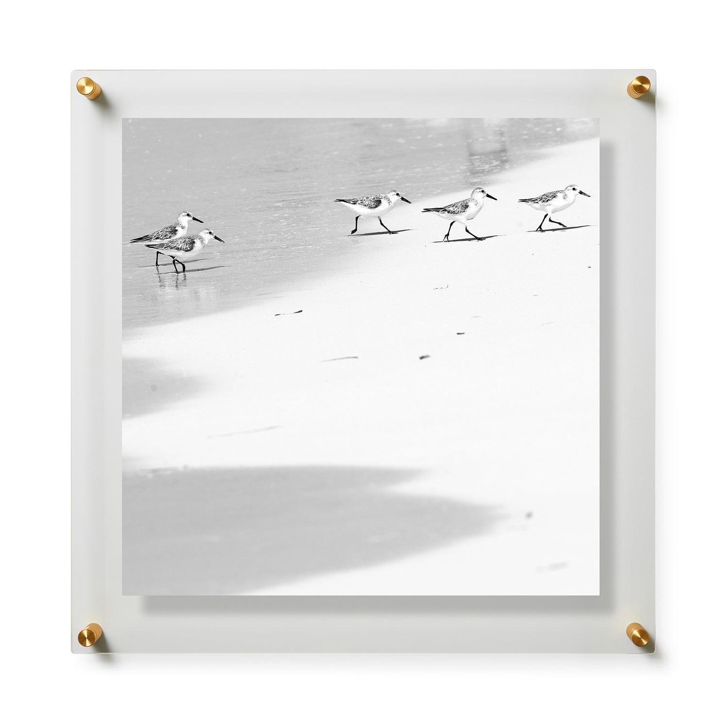 Fine Art Print / 28 x 28 / Gold