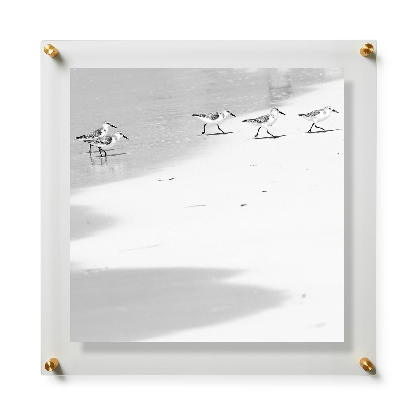 Fine Art Print / 28 x 28 / Gold