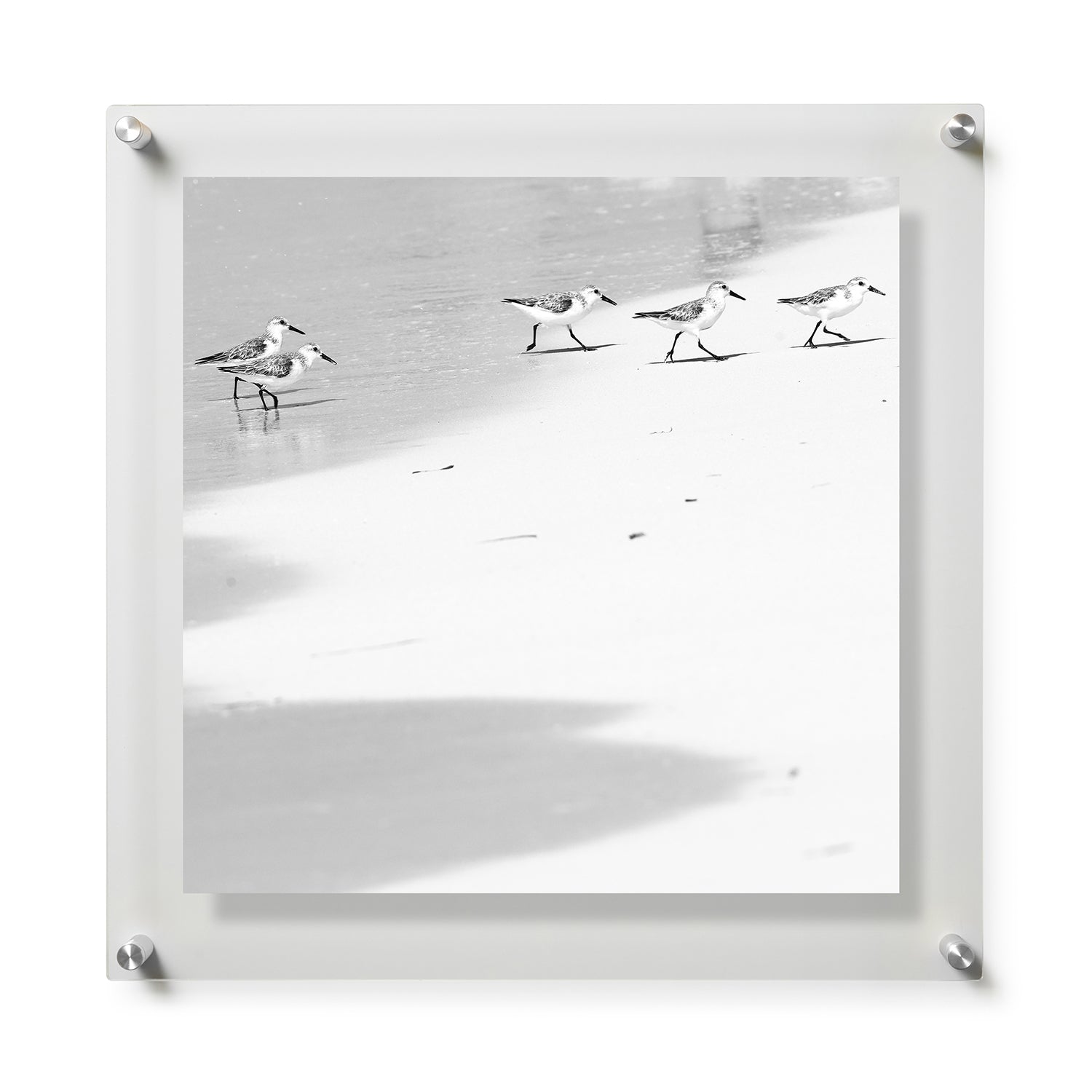 Fine Art Print / 28 x 28 / Silver