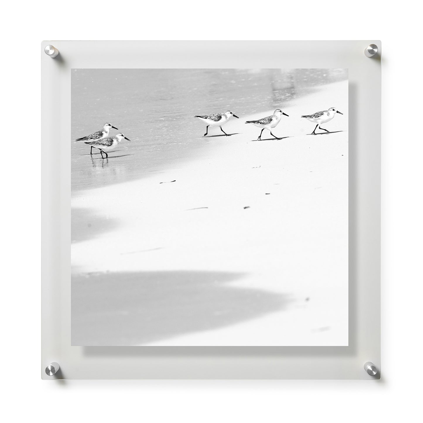 Fine Art Print / 28 x 28 / Silver