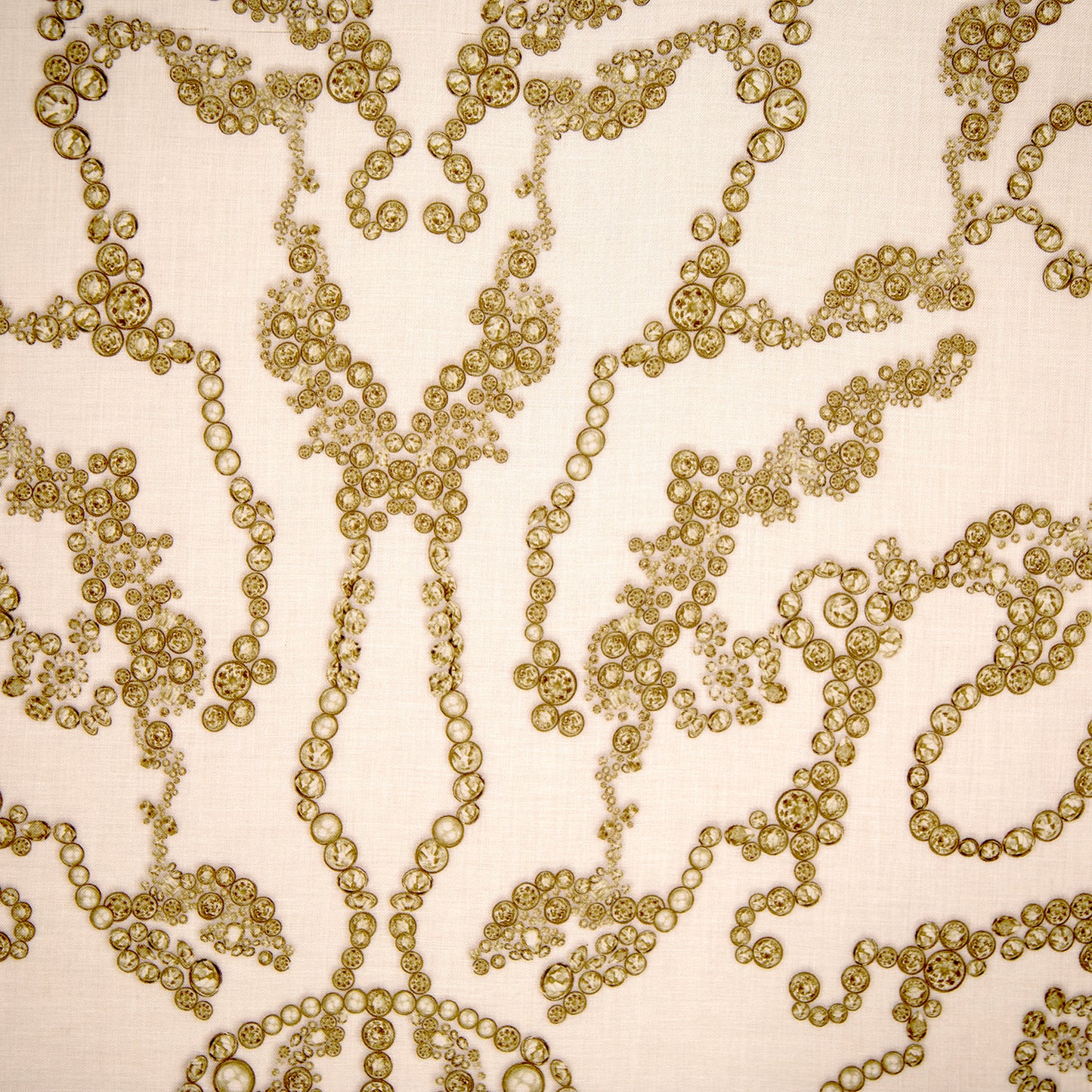 Framed Alexander McQueen Jewel Skull Printed Scarf in 58x58x2 Shadowbox
