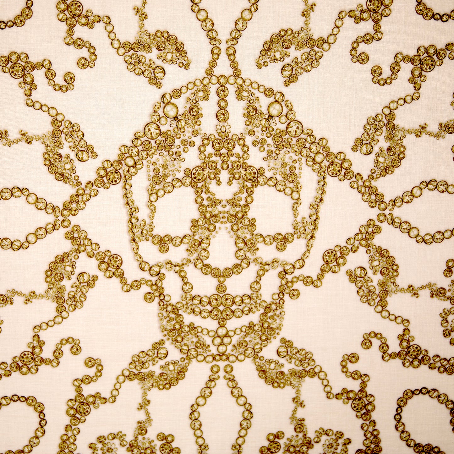 Framed Alexander McQueen Jewel Skull Printed Scarf in 58x58x2 Shadowbox