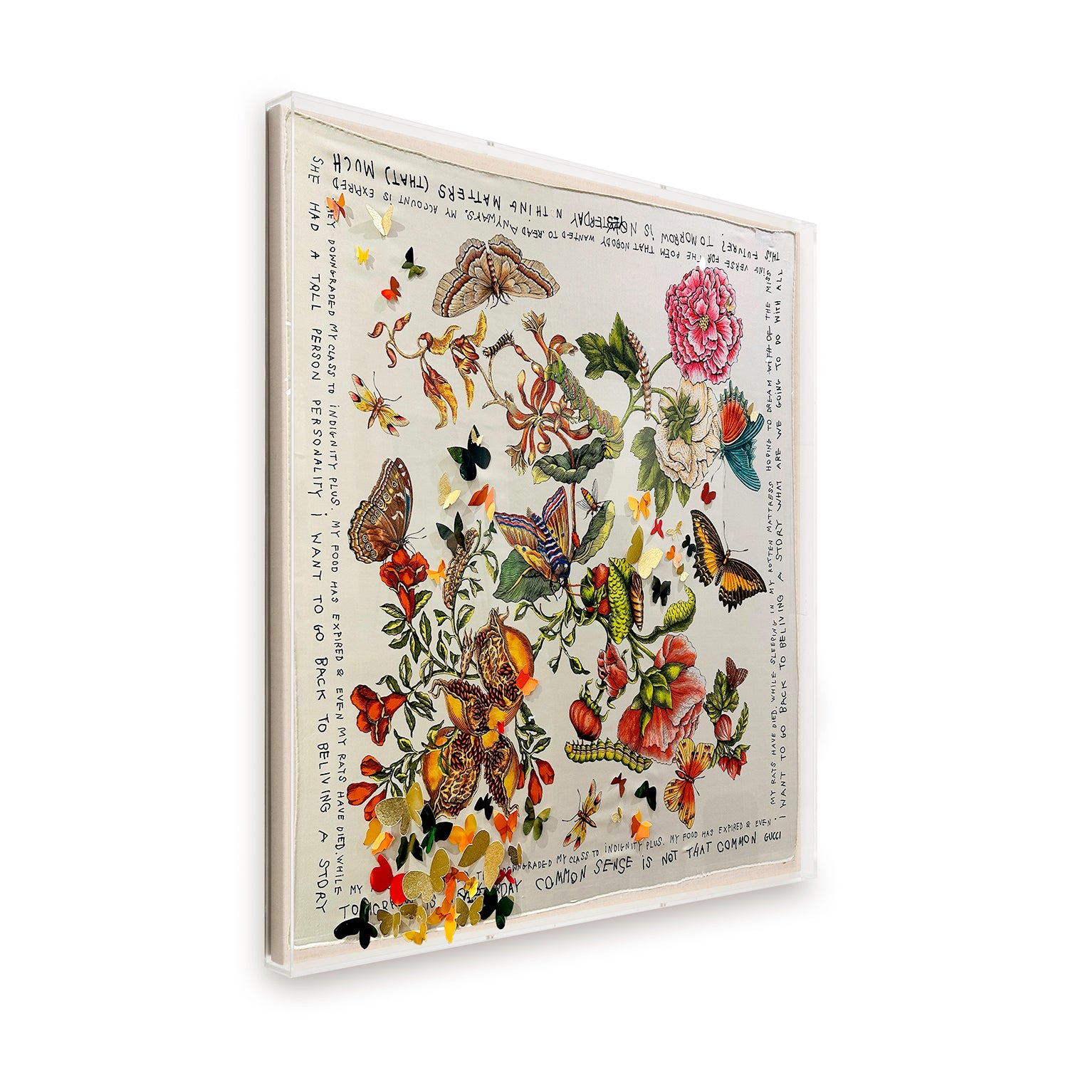 Framed Embellished Gucci Garden Coco Captain in a 36x36x2 Shadowbox