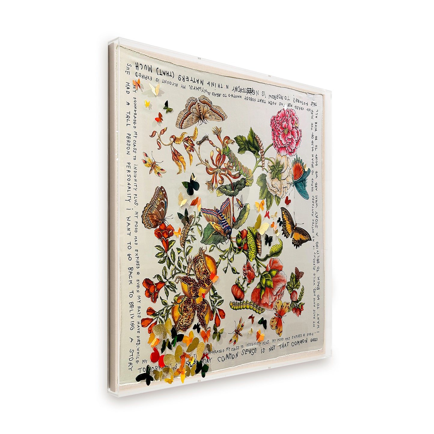 Framed Embellished Gucci Garden Coco Captain in a 36x36x2 Shadowbox