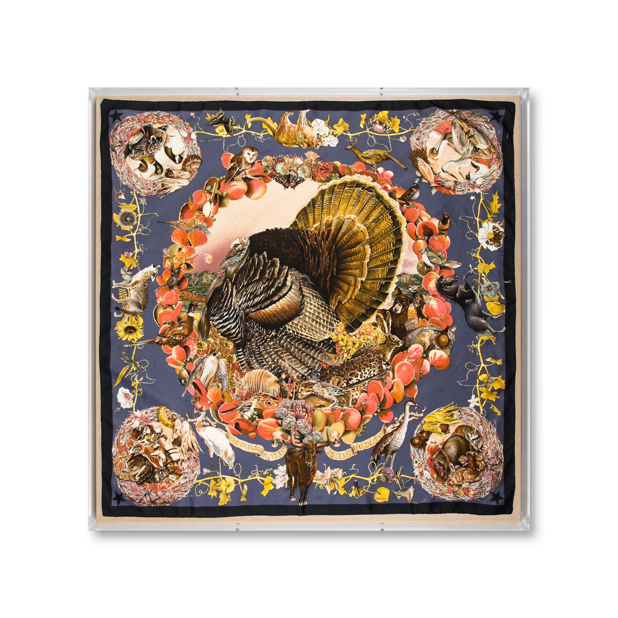 Framed Hermès Texas Flora & Faune by Kermit Oliver Scarf in a 36x36x2