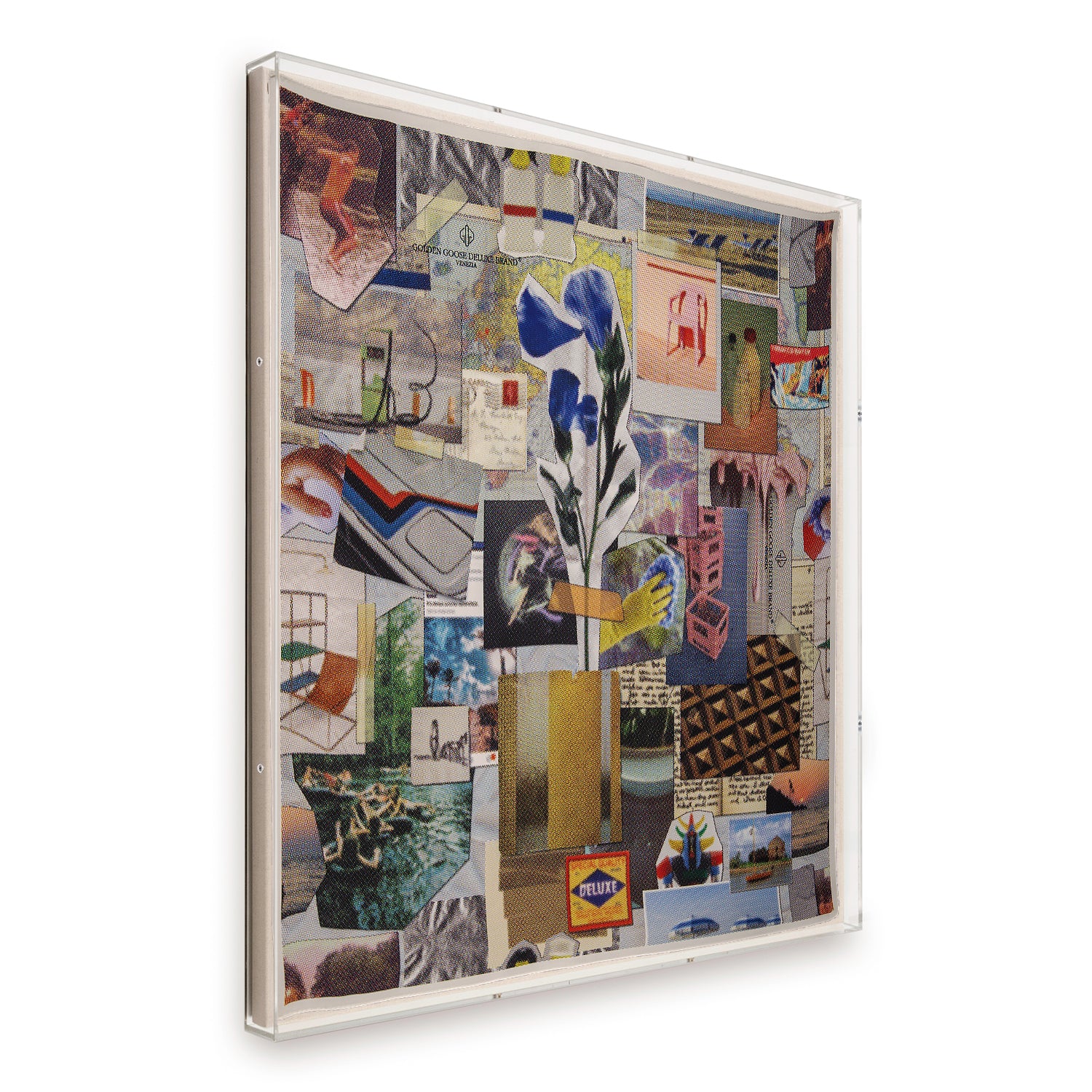 Framed Golden Goose Collage Silk Scarf in a 58x58x2" Shadowbox