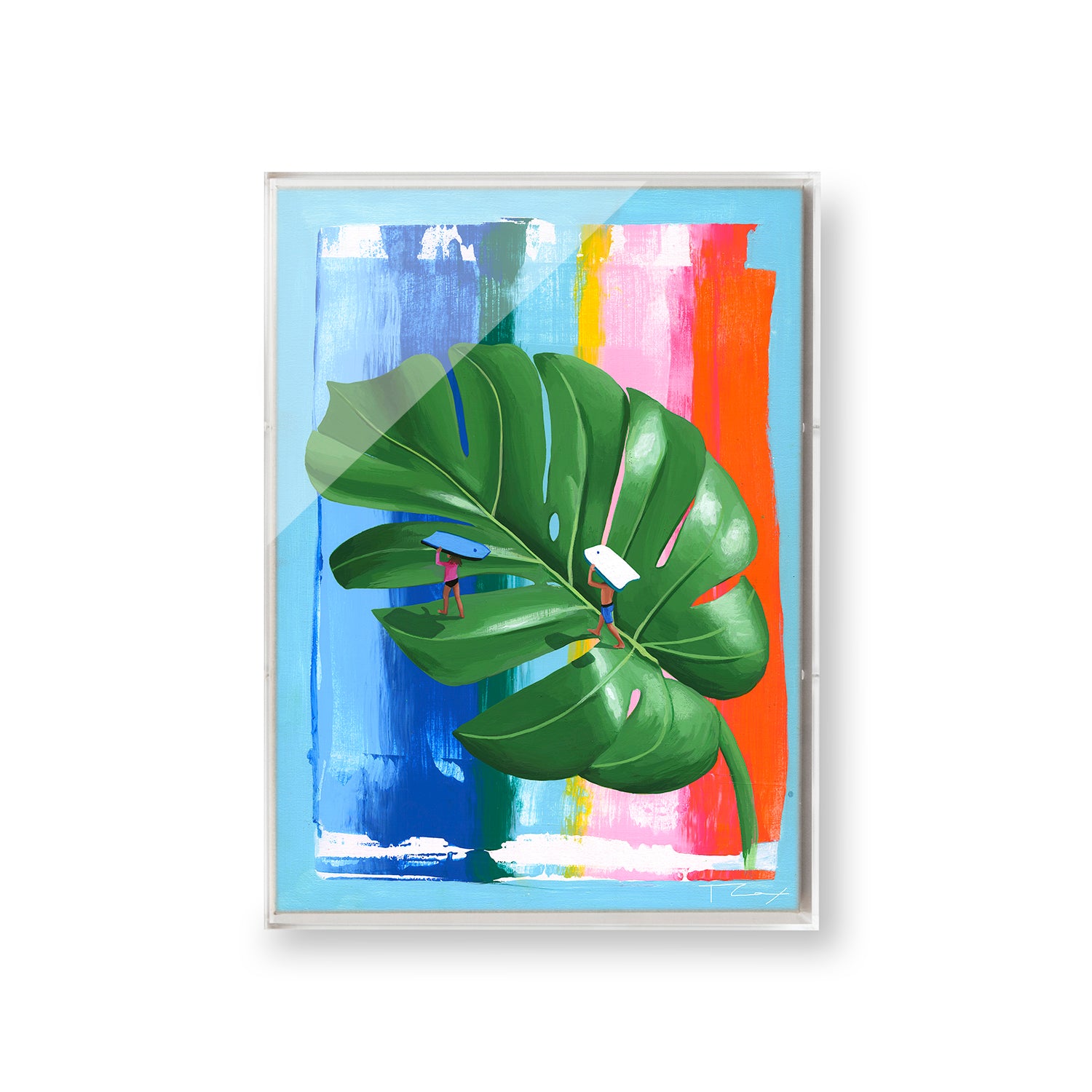 Monstera by Taylor Cox