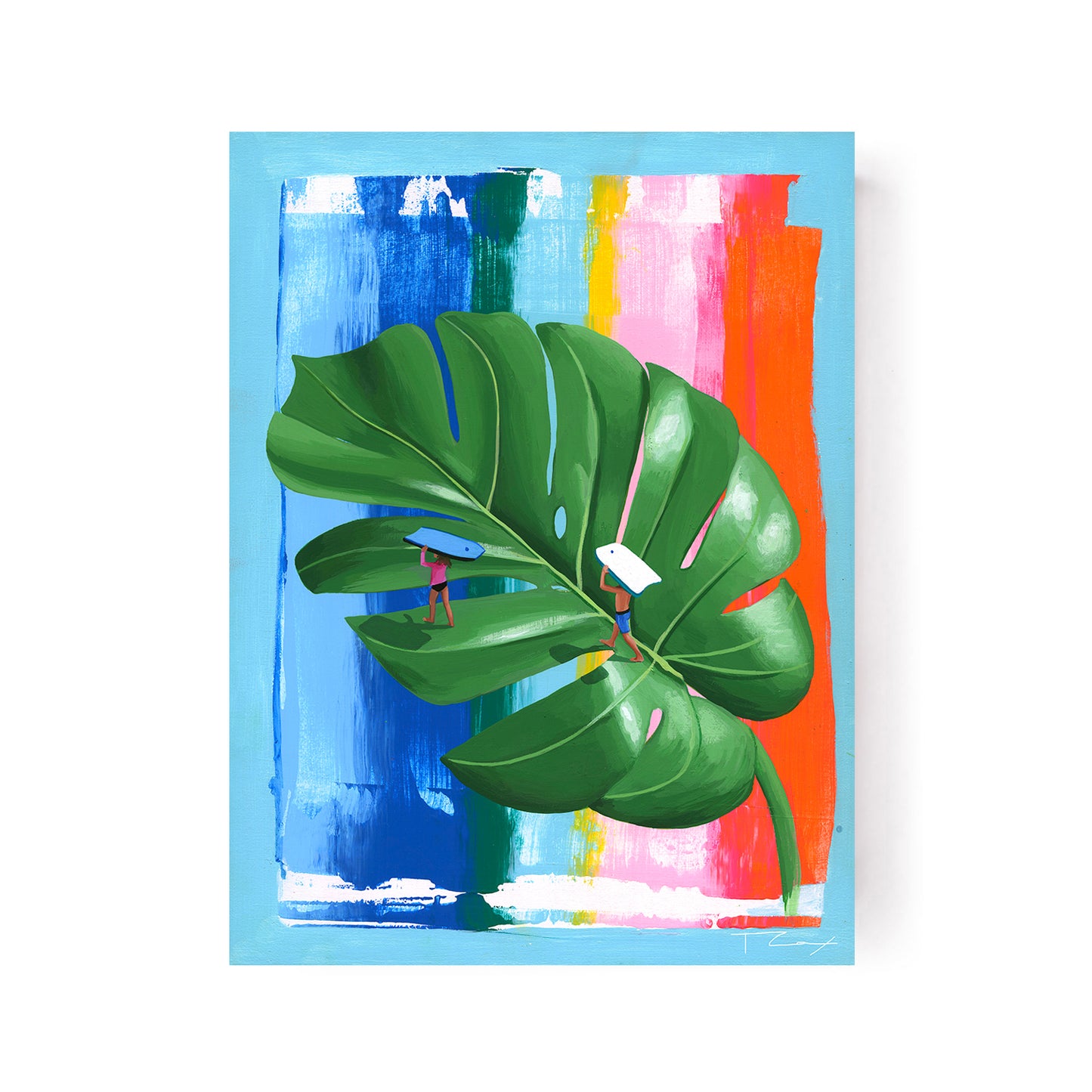 Monstera by Taylor Cox