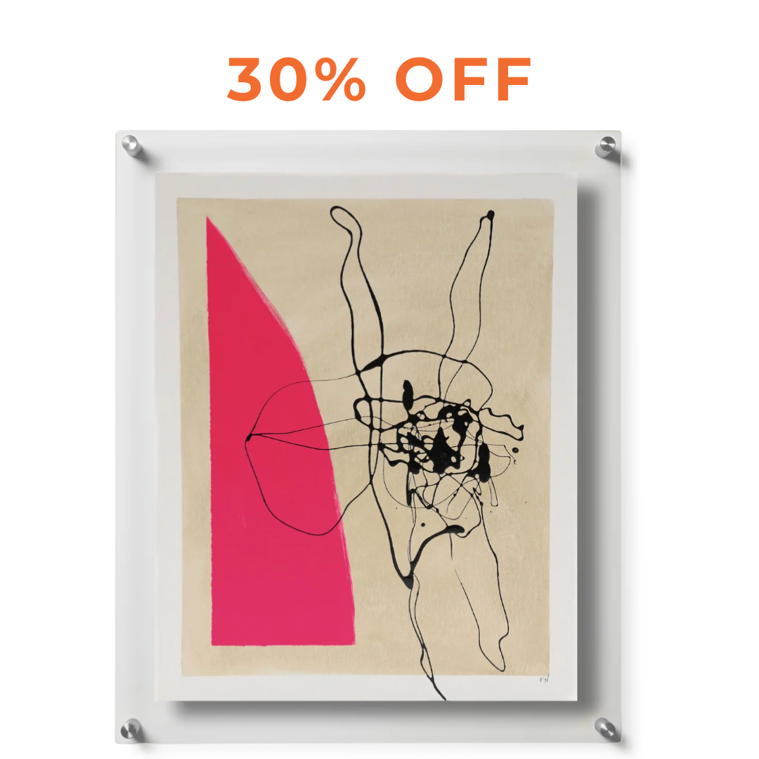 Sample Sale Framed Art in Double Panel Frames