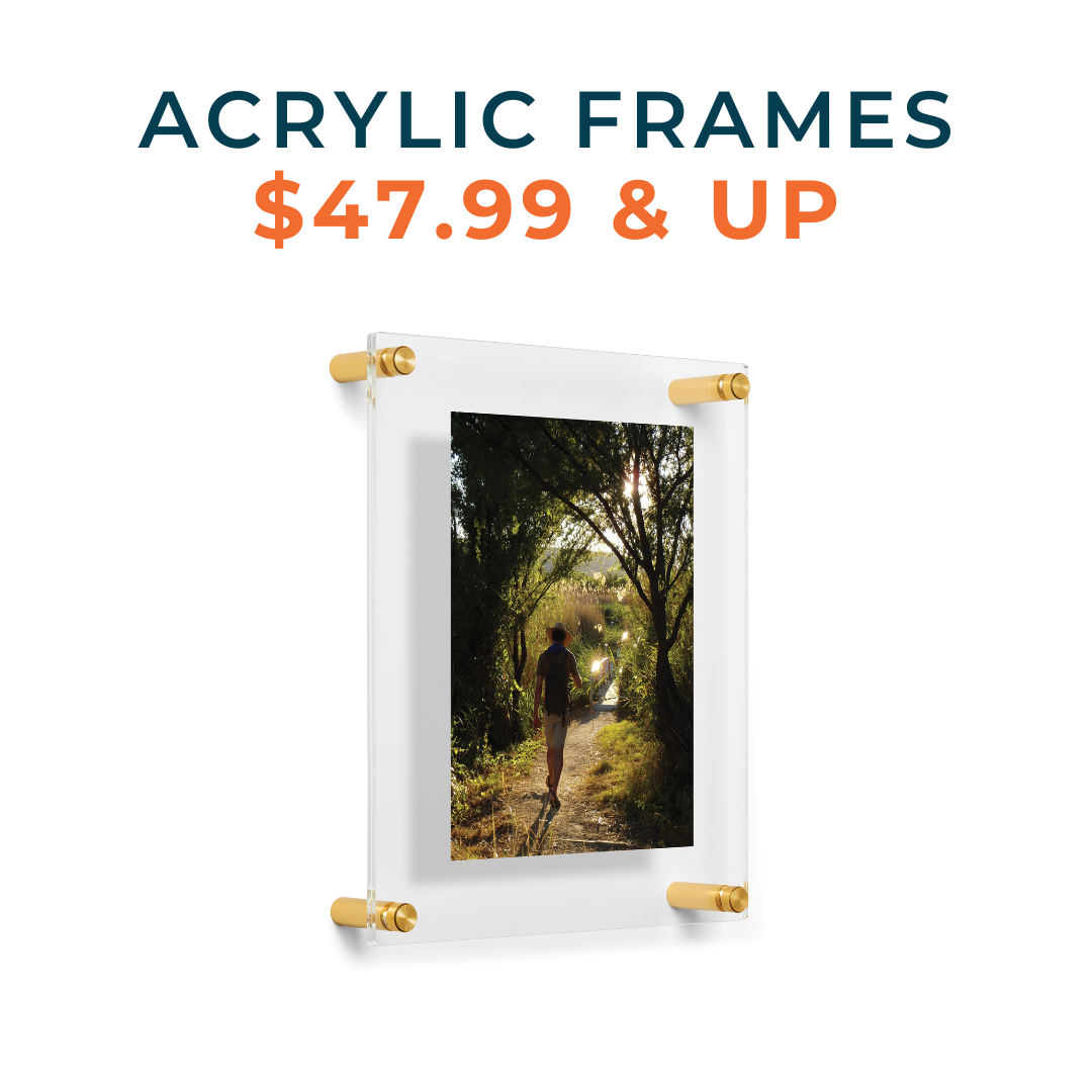 Sample Sale Double Panel Frames