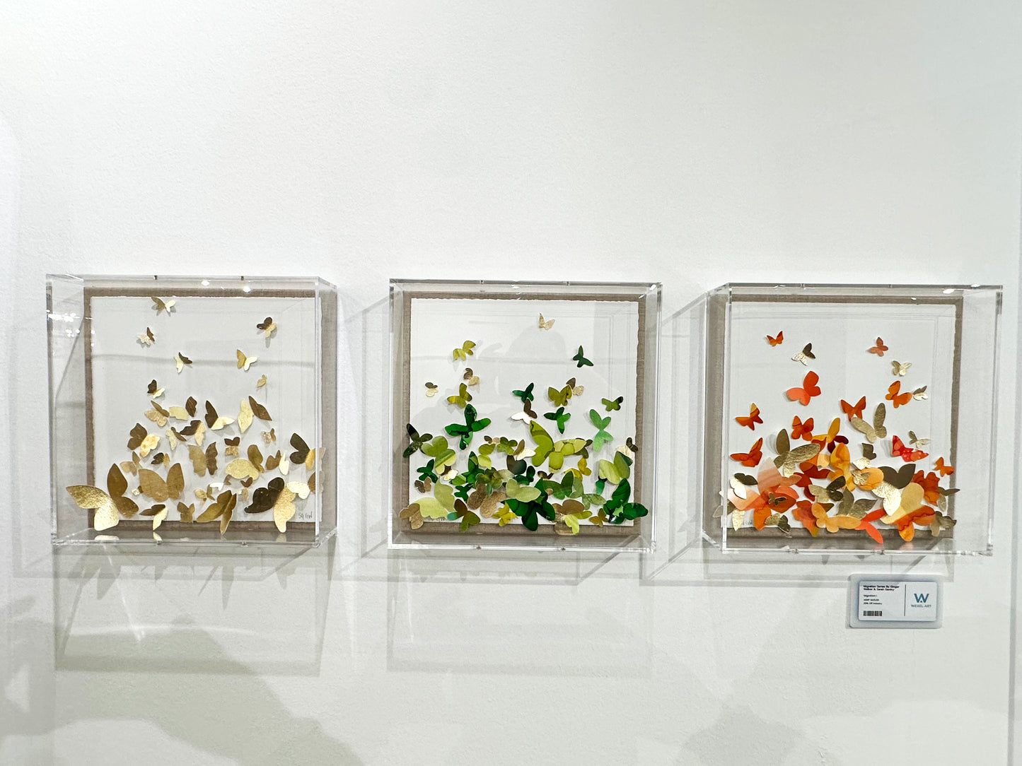 Migration Series by Ginger Walker & Sarah Gentry