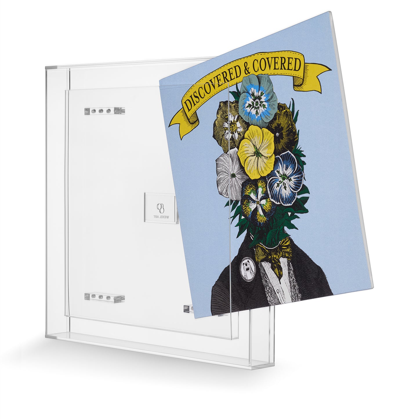 Clear Magnetic Float Frames