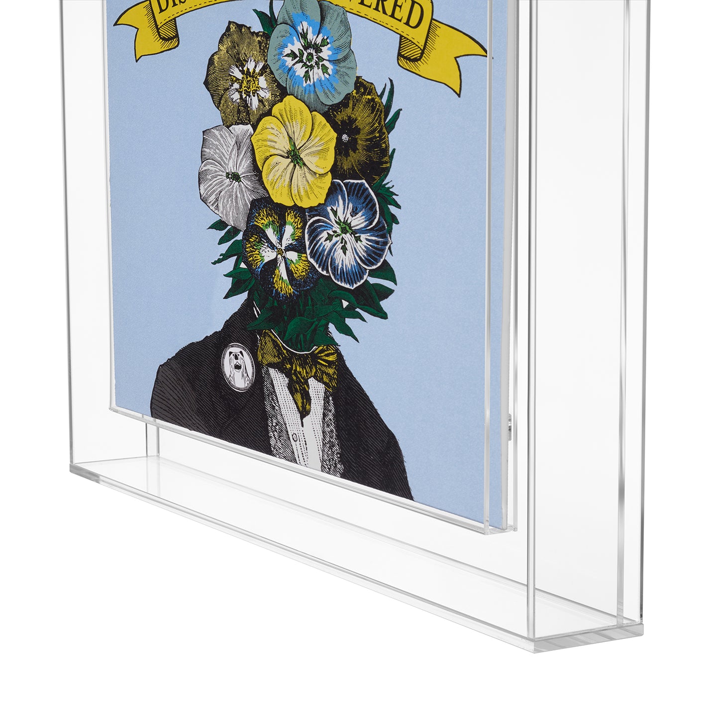 Display & Play Record Album Magnetic Float Frame